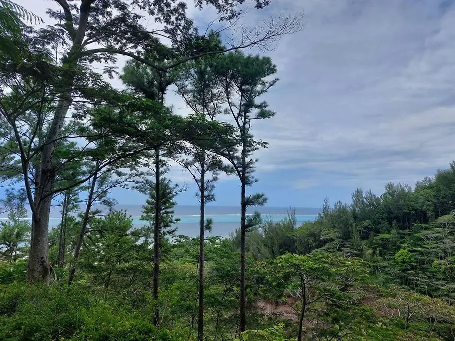 Petite Maison Premium Vue Mer Муреа 0*,  Французская Полинезия